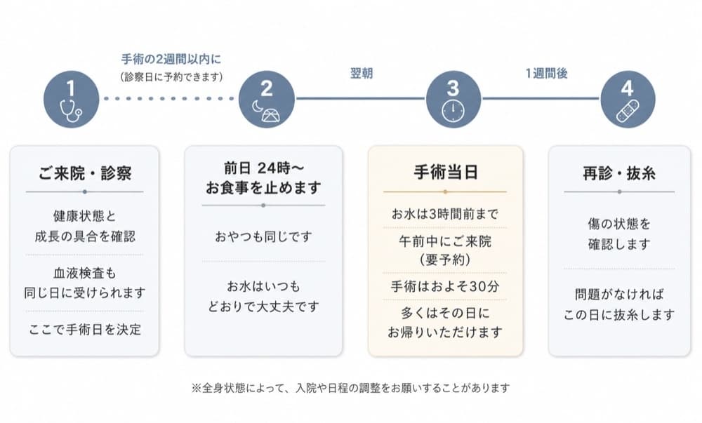 避妊手術の流れの図。1ご来院・診察(手術2週間以内に予約) 2前日24時からお食事を止める           3手術当日(お水は3時間前まで・午前中にご来院・要予約・手術はおよそ30分・多くは日帰り)           4再診・抜糸(1週間後)